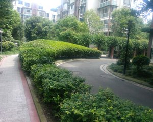 南阳锦城香樟阁3室1厅南