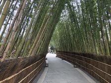 新希望锦麟府4室2厅东北