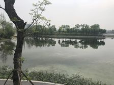 中建天府公馆3室2厅南北