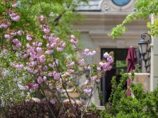 中间楼层视野嘎嘎好,清水房,自己改造装修得来