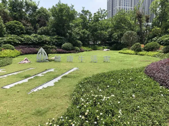 远洋心汉口一期实景图