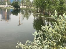中建天府公馆4室2厅南