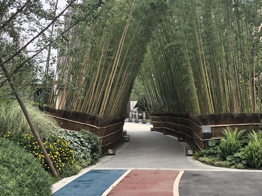 小区相关图