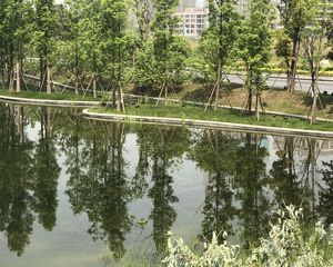 中建天府公馆4室2厅南