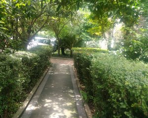 南阳锦城香樟阁3室1厅东