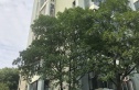 云顶居实景图