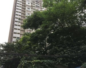 柳江新居三期2室1厅东东南