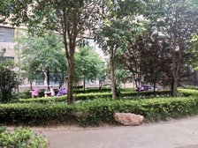 蓝湾新城2室2厅东南