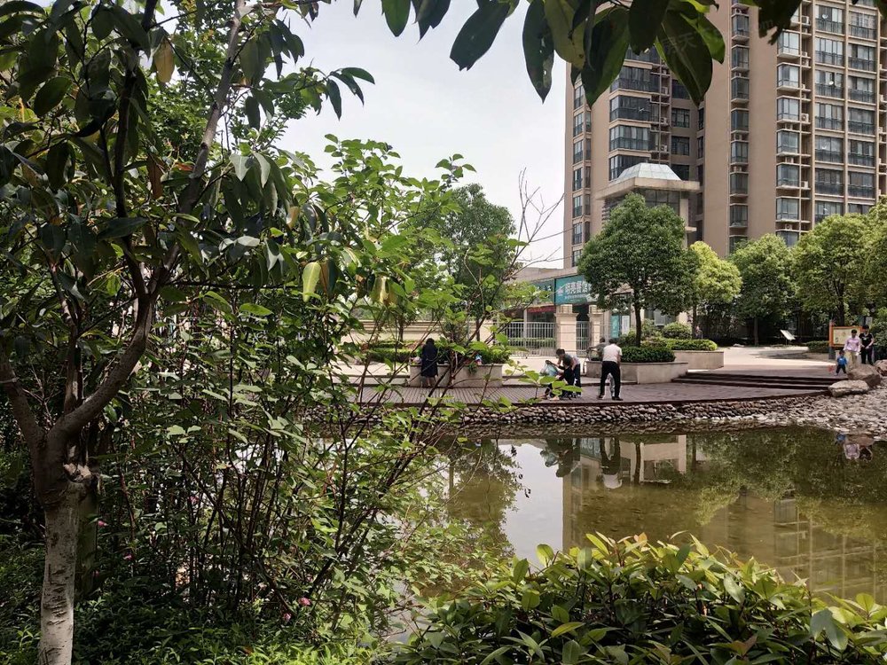 小区相关图