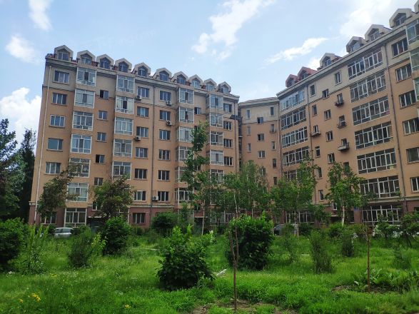 泰山小区实景图