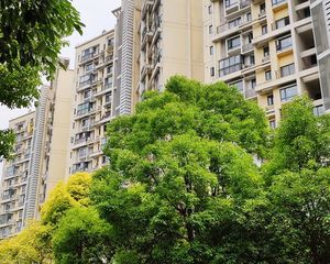 彩叠园1A期2室1厅南北