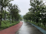 周边湘江风光带步道实景