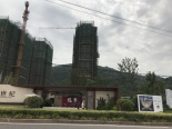 在建楼栋实景图