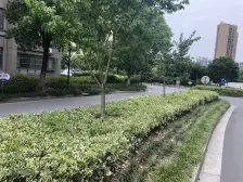 14年次新小区,顾村标杆电梯三房,近地铁门口即购物街