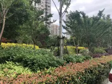 顾村·中怡家园·2室·1厅