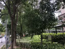 电梯中高区,拎包入住 ,看房方便,价格可以谈,急售