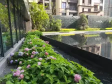 临近轨交200米 高品质小区 人车分流 精装三室