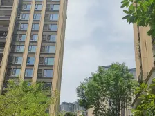 凤凰湾大平层 户型方正 电梯入户 诚心出售