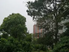 房型正气,装修齐全,繁华地段,小区景观位置