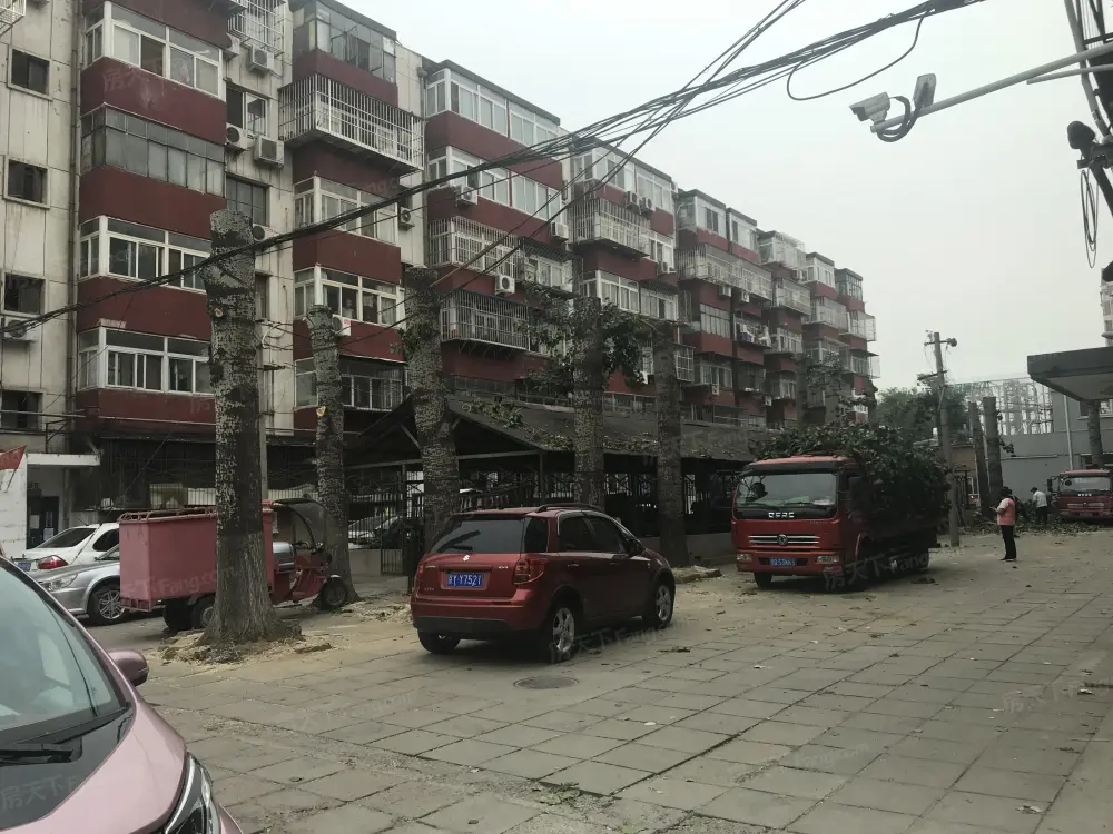 实景图
