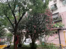 满五精装修,全南大三房,近华师大长风公园,诚意出售