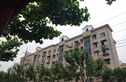 桃林一小区实景图