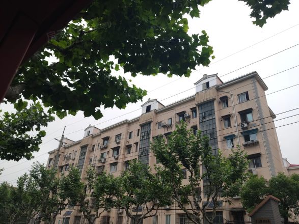 桃林一小区实景图