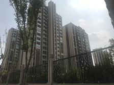 碧桂园翡翠华府 4室2厅 南