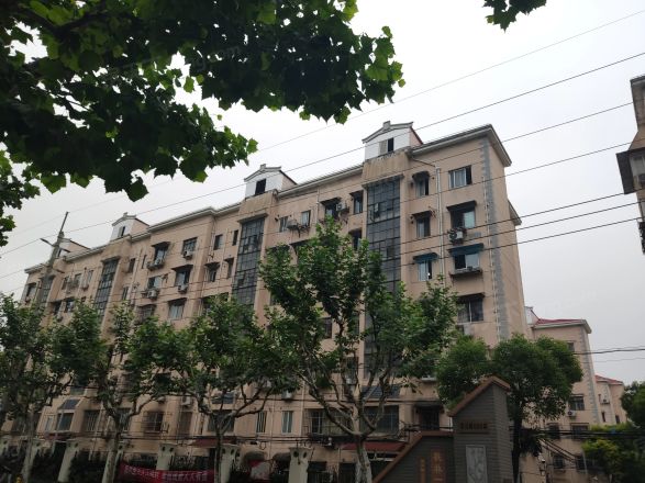 桃林一小区实景图