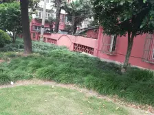 房子楼层好,价格好,装修好,看房子提前约,采光好。