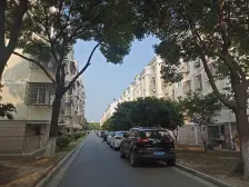 莲花新村六区 2室1厅 南 北