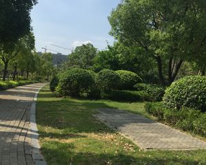 低密度洋房社区楼间距大诚心出售看房方便