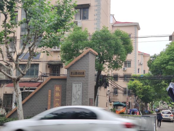桃林一小区实景图
