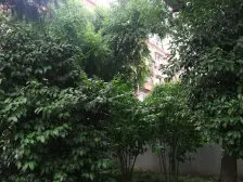 田林·田林六村·1室·0厅