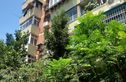 南横西街96号实景图