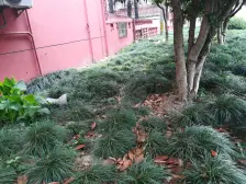 9号线和15号地铁口精装小一房