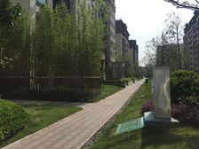 双拼别墅东边户 地面三层地下一层含两个车位 看房随时