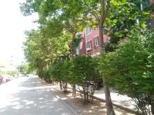 怡苑新区 2室1厅 南 北