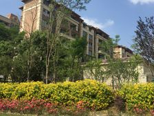 恒大御澜庭洋房 带院和地下室 全新