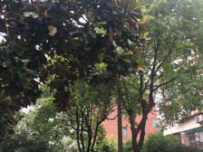 满五,双南两房,户型采光好,配套成熟