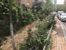 半山洋房坡下下跃三层户型两个南向卧室,近2号电梯