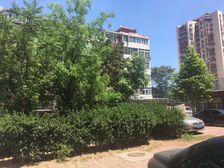 道家村2室1厅东西