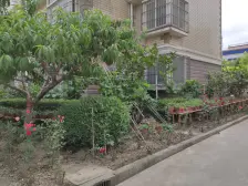 户型正气,满五年,大户型,复式