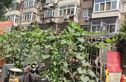 红华小区实景图