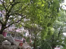 运旺新村阳光世家 2室2厅 南 北