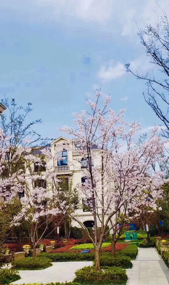 华府天地愉园