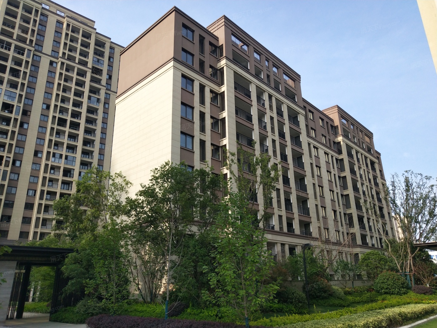 新城郡未来