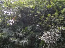 露台复式,临河视野好,看房可随时安排