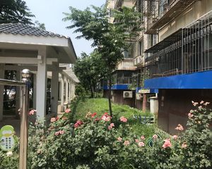 冯村信园小区3室1厅南北