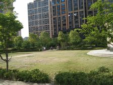 徐州政务* 美的广场 CBD 美的翰城 青年路 精装